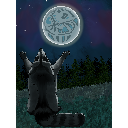 The Moon Raccoon