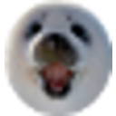 kirkseal