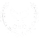 no background cmc