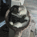 bombycatidk