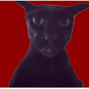 Evil Larry
