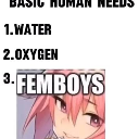 femboy